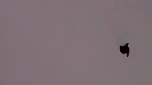 Ветер северо восток смотреть онлайн