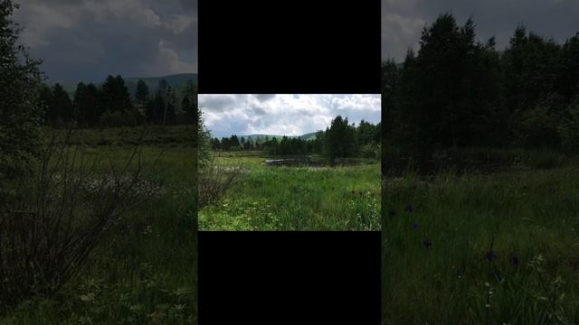 КАРМА ЛЮБВИ | Что мне следует искать в партнере ? МАЙКЛ РОУЧ смотреть онлайн