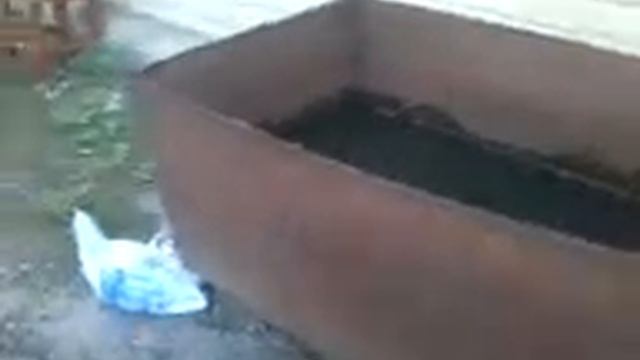 Начинается лето и мы сновом в своем дворе смотреть онлайн