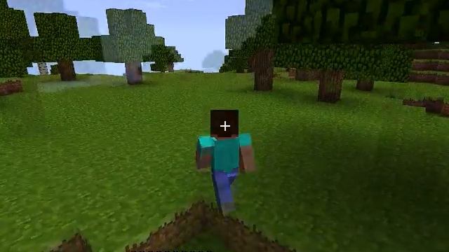 Roaming Minecraft (Golden Reverie) смотреть онлайн