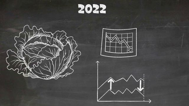 Инфляция в россии действительно снизилась?