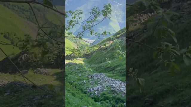 Окрестности села Кеди🏔☘️🦅💪Цумадинский район 🏔🦅💪 смотреть онлайн