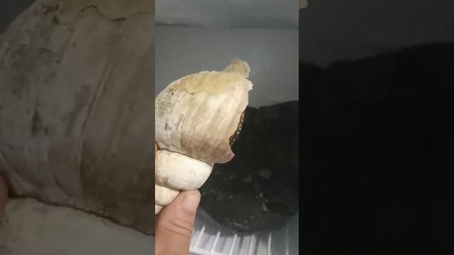 Мастерство и Креатив