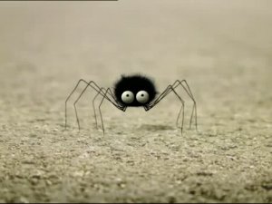 Мелюзга. 56. Настойчивый. Tenace