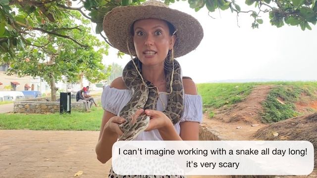 Snakes & Dogs || Змеи и собаки || Sri Lanka || Шри-Ланка смотреть онлайн