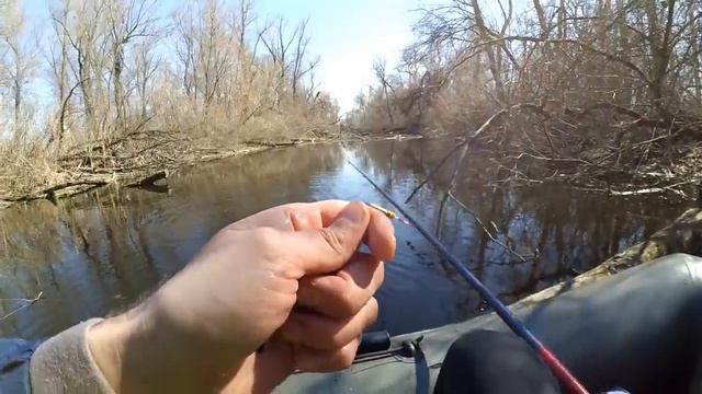 Рыбалка в коряжнике на поплавок I Красноперка атакует смотреть онлайн