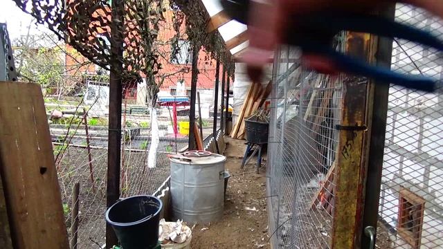 Ищу невесту срочно смотреть онлайн