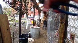 Ищу невесту срочно