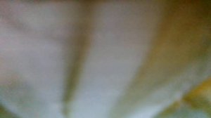 Песня Свистулькина(Чтобы был порядочек, порядочек(м/ф«Незнайка в Солнечном городе»(наброски)