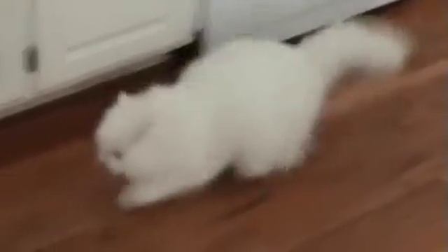 Вспомнила ,что утюг забыла выключить смотреть онлайн