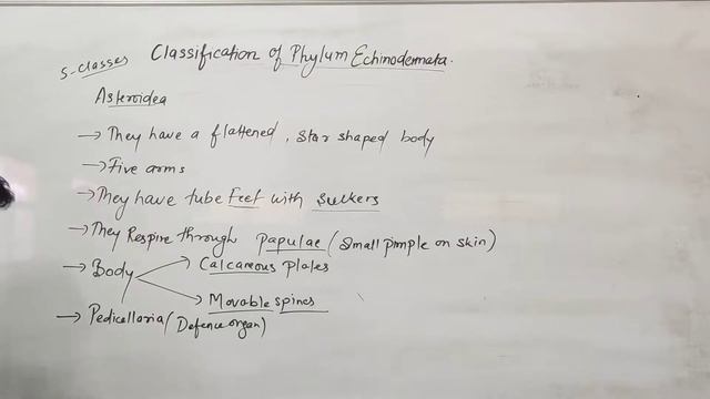 Classification of Phylum Echinodermata: Class Asteroidea and Ophiuroidea by Siddharth Anand #SMDTKM смотреть онлайн