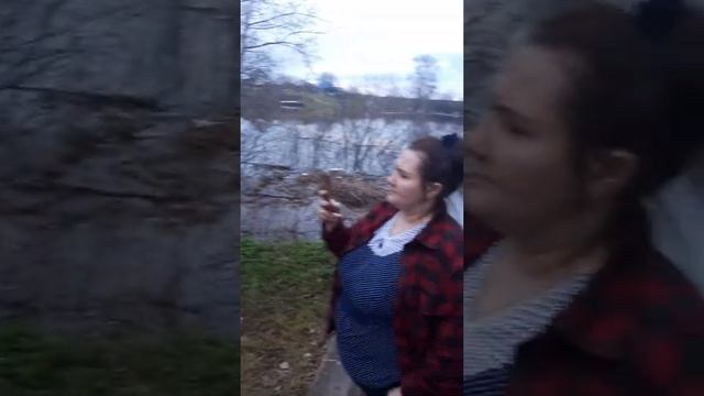 Затопило нашу деревню смотреть онлайн