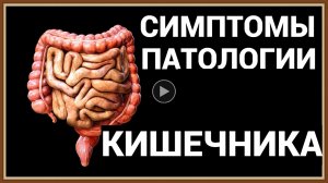 СИМПТОМЫ ПАТОЛОГИИ КИШЕЧНИКА.mp4