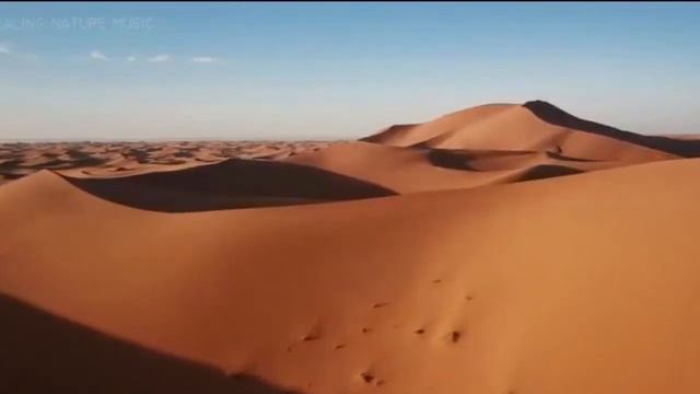 CHO GYN - Desert Dreams смотреть онлайн