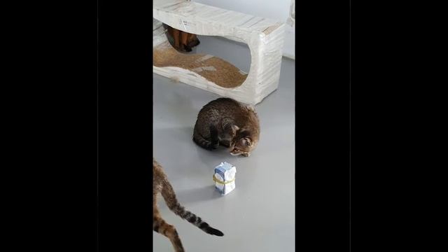 С праздником мая 2020 ! смотреть онлайн