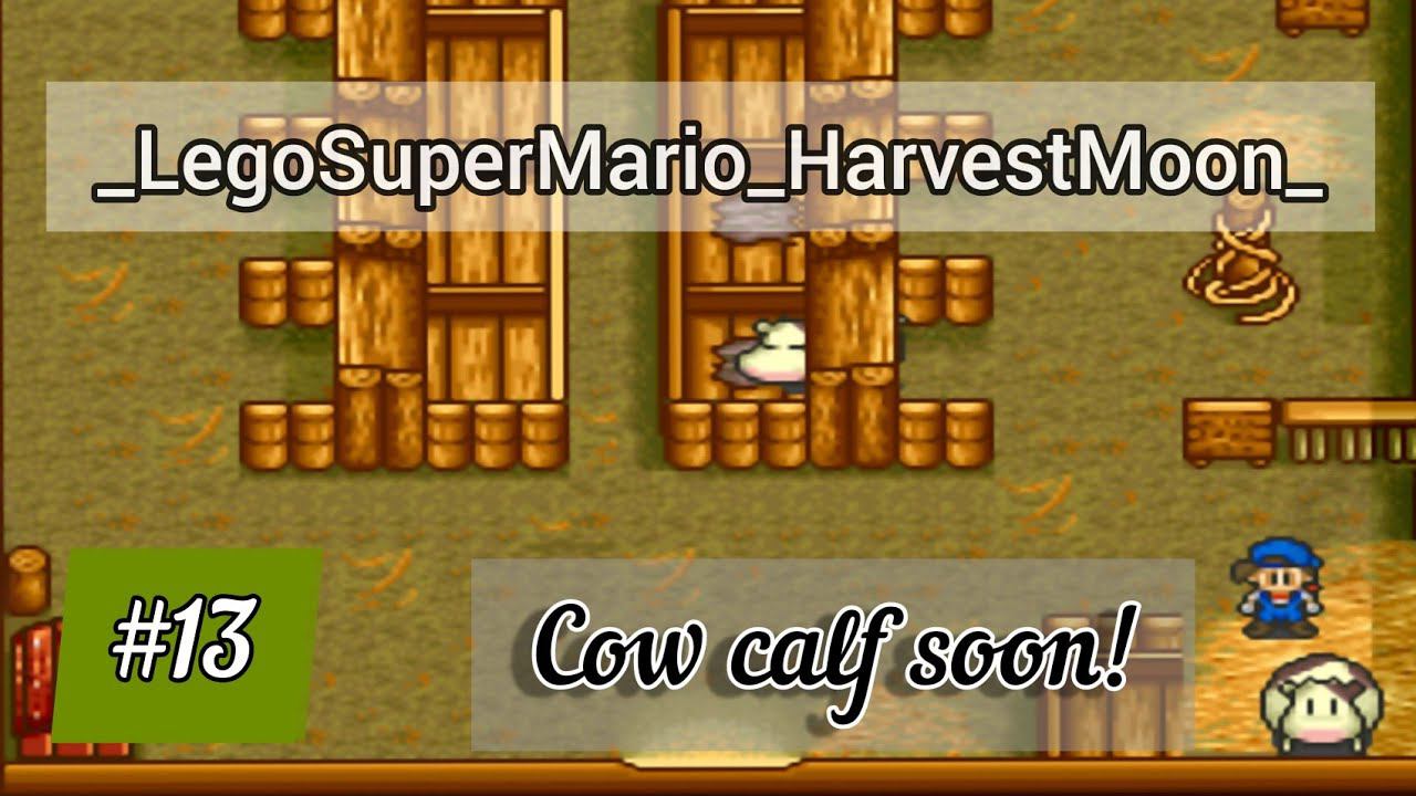 Harvest Moon SNES : Calf! Longplay walkthrough #13 stream asmr. смотреть онлайн