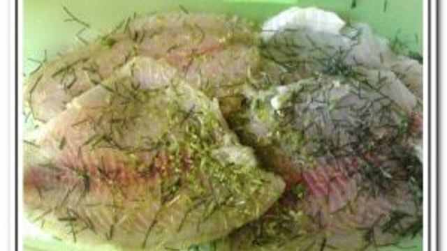 1000 и 1 рецепт