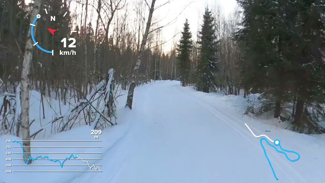 Лыжню! Уступите парню лыжню. ГАБОвская лыжня Московская область первый километр - перепады высоты смотреть онлайн