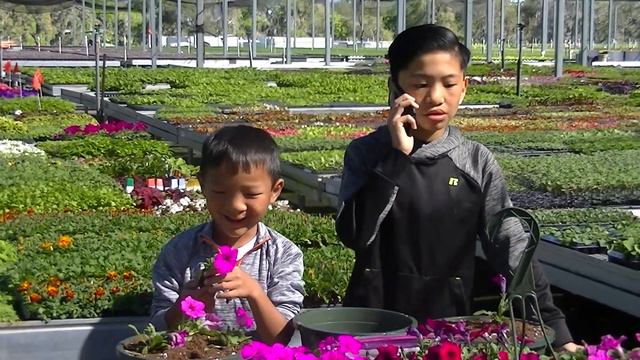 Jack and Grants Garden: Mom Calls for Combo смотреть онлайн