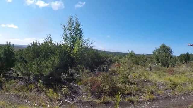 Вынужденный отстрел бурого медведя смотреть онлайн