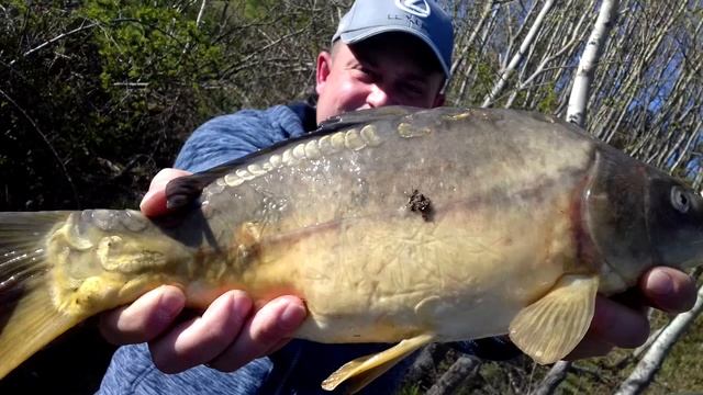 Рыбалка в Германии 53 ВЕСЕННИЙ КЛЕВ КАРПА Поймал , ОТПУСТИ.Апрель 2020 смотреть онлайн