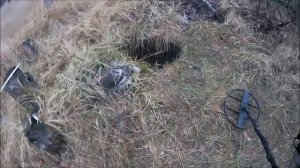 Сравнение в грунте Интроник/Сигнум