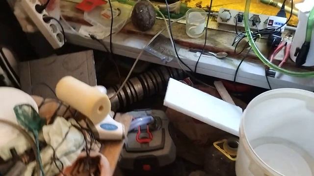 упс а где аквариумы ?на разводне хаос #aquarium #subscribe #рак #angelfish #fishtank #fishaquarium смотреть онлайн