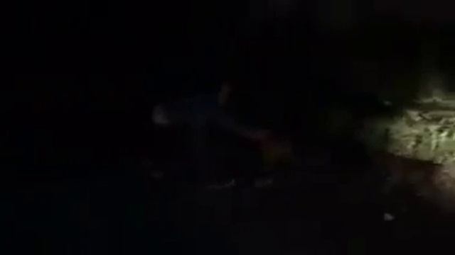 Sochi Dogs смотреть онлайн