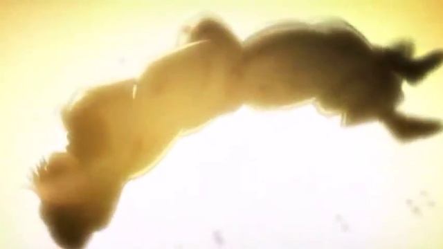 【Reshira】Life of Brian - Always look on the bright side of life | SnK-AMV? '-' смотреть онлайн