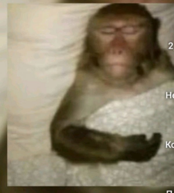 играю в ттд пытаюсь получить мифа