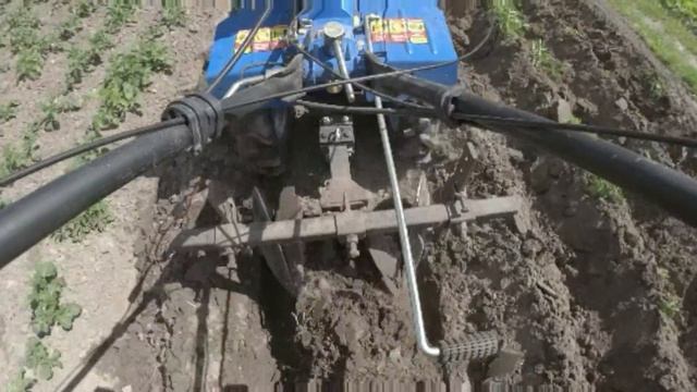 Окучивание картофеля мотоблоком - Секреты окучивания дисковыми окучниками - Дисковые окучники. смотреть онлайн