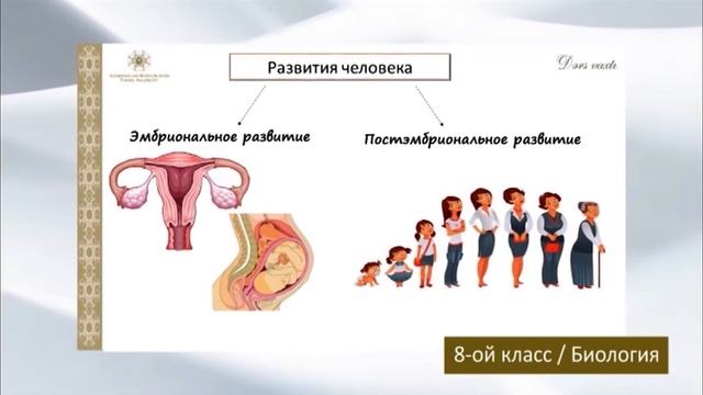 “Dərs vaxtı”: 8-ci sinif dərsləri (rus bölməsi) (08.04.2022) смотреть онлайн