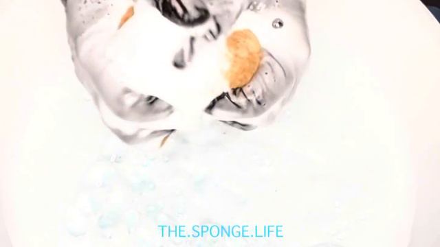 Blue Scent Boosters 💙