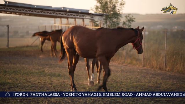 ОБРАТНЫЙ ОТСЧЕТ. 16 марта 2023 года. 12:00 смотреть онлайн