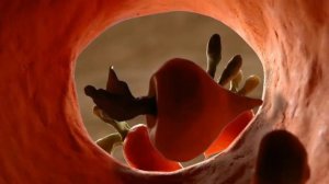 Гора Самоцветов Глинька Псковская сказка 2006 год