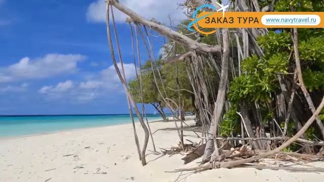 KUREDU ISLAND RESORT 4* Мальдивы отзывы – отель КУРЕДУ ИСЛАНД РЕЗОРТ 4* Мальдивы отзывы видео смотреть онлайн