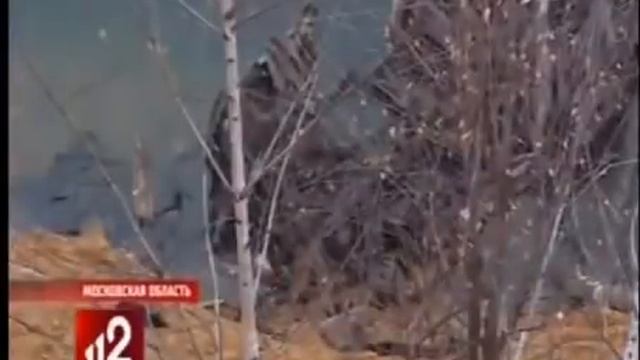 Edward bil Эдвард Бил и Михаил Литвин под уголовным преследованием! УТОПИЛИ МЕРСЕДЕС В ВОДОЕМ смотреть онлайн