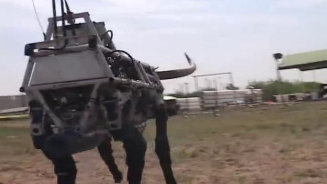 BigDog Olé смотреть онлайн