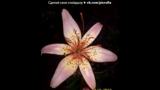 moi raboty pod muzyku Krasivaya melodiya Priroda, pianino, skripka, bit Picrolla 240 смотреть онлайн