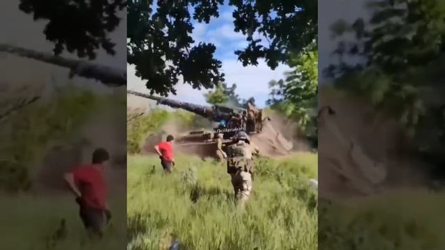 ? Сезон цветения пионов можно считать открытым!.mp4 смотреть онлайн