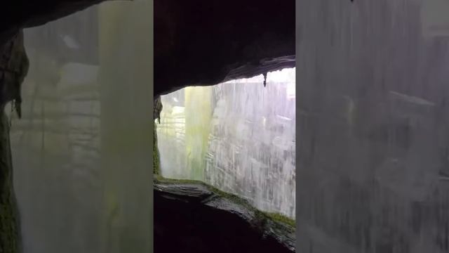 Самый необычный ЗООПАРК в мире!?? #оаэ #цены #дубай смотреть онлайн