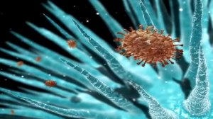 Что будет если удалить бородовку?