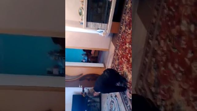 Как научится делать кувырок вперед и назад смотреть онлайн