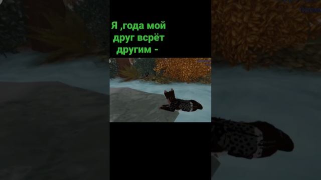 коты воители роблокс прикол ❤️ смотреть онлайн