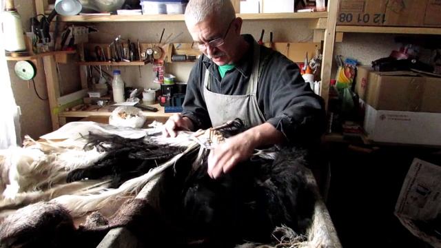 Изготовление Африканского страуса. смотреть онлайн