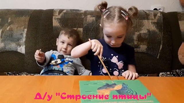 Домашние птицы _фрагменты занятия с трёхлетними малышами смотреть онлайн