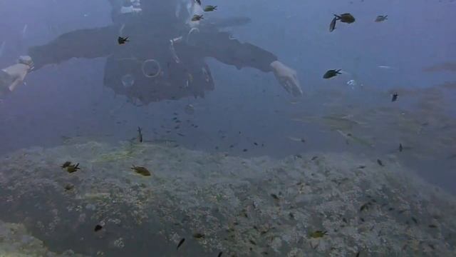 Звуки природы, пение птиц, звук воды для релаксация, сна, Медитации, Relax 18 минут. смотреть онлайн