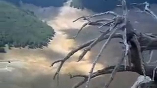 Il PINO LORICATO DEL POLLINO (Sera delle Ciavole) смотреть онлайн