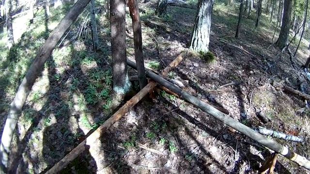 Строю необычный шалаш в лесу \ Bushcraft - лесная жизнь смотреть онлайн