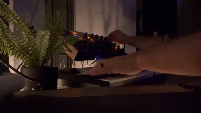 Novation Peak - Arps…what a lush reverb смотреть онлайн